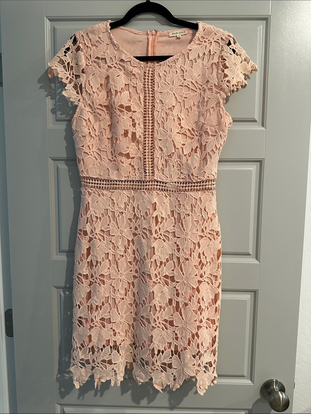 Main Strip Floral Lace Mini Dress in Blush